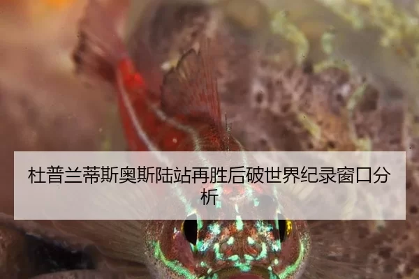 杜普兰蒂斯奥斯陆站再胜后破世界纪录窗口分析